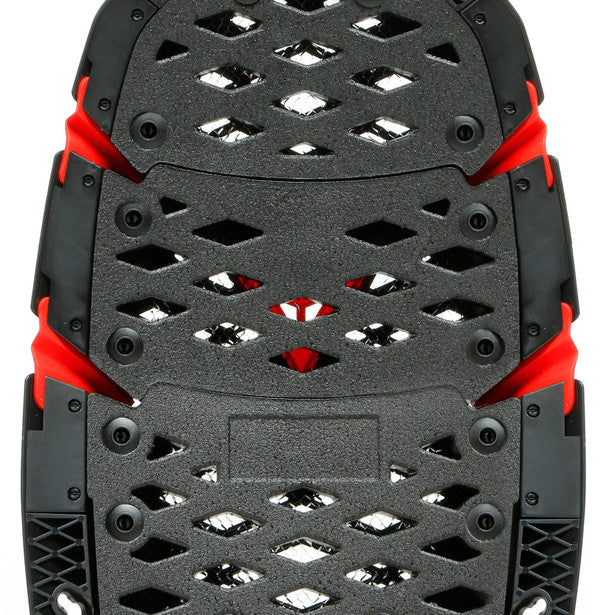 Dainese Pro-Speed Back Protector