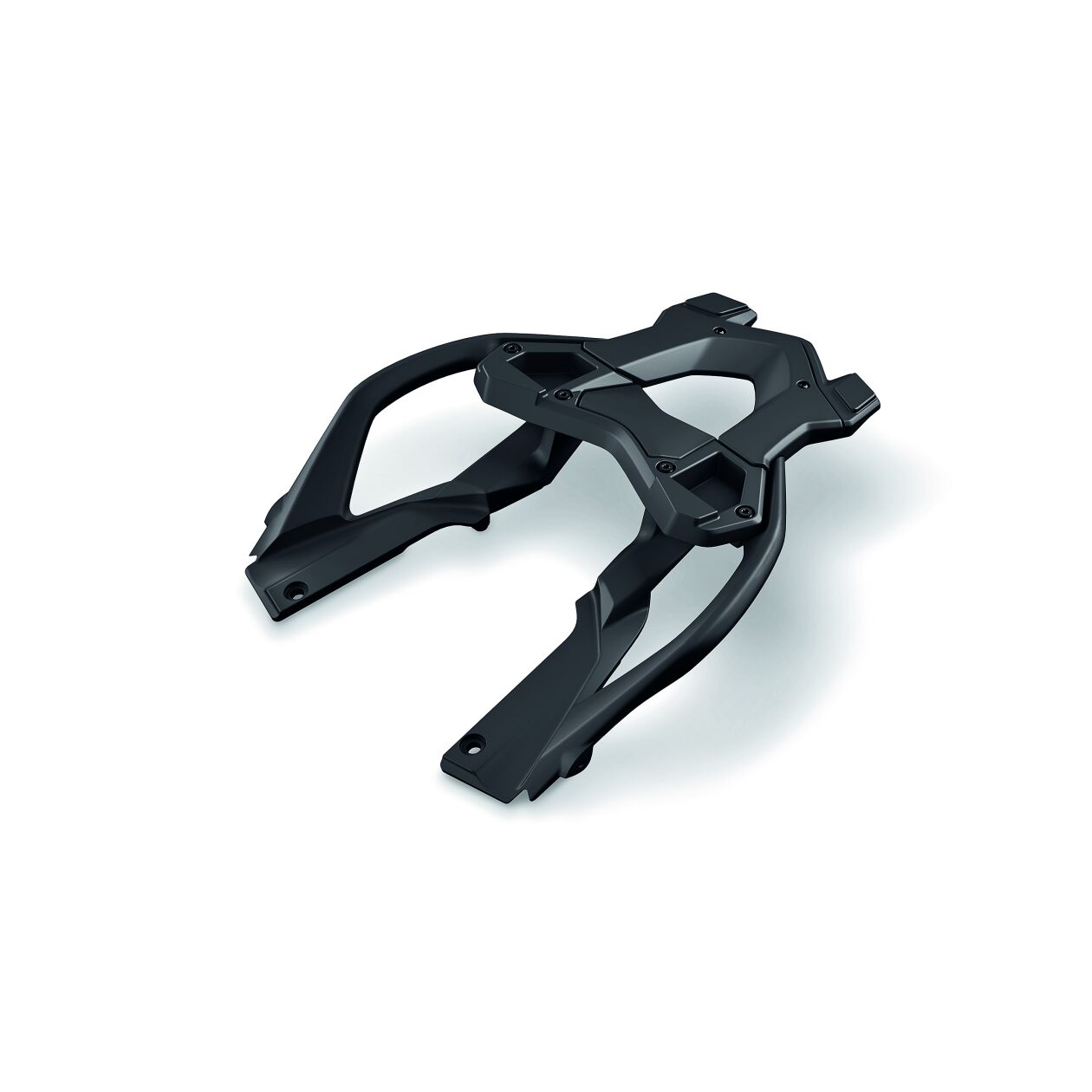 BMW Luggage Carrier (46548534258)