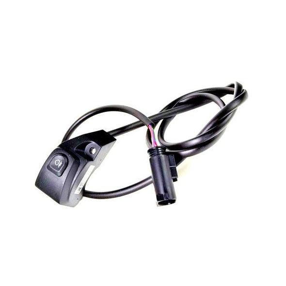 BMW Additional Switch for Additional Headlight (61318394256)