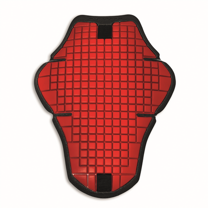 Ducati Warrior 2 Back Protector