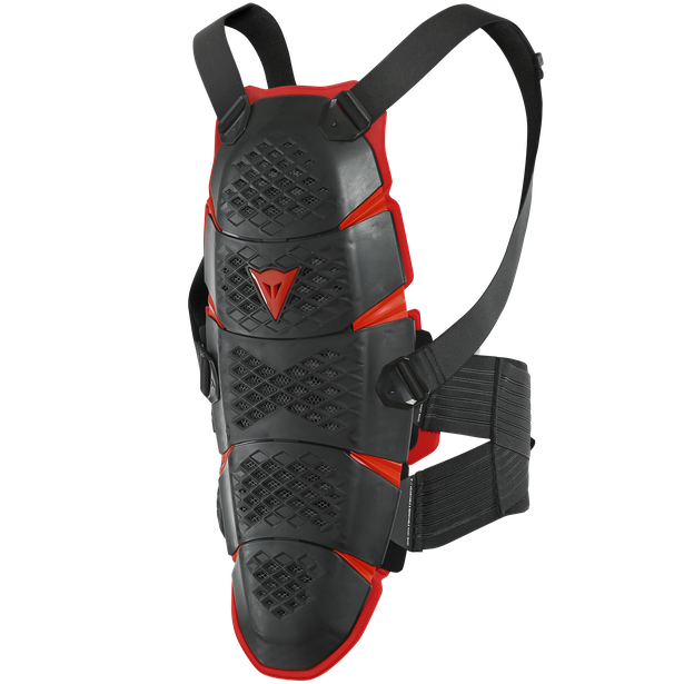 Dainese Pro-Speed Back Protector